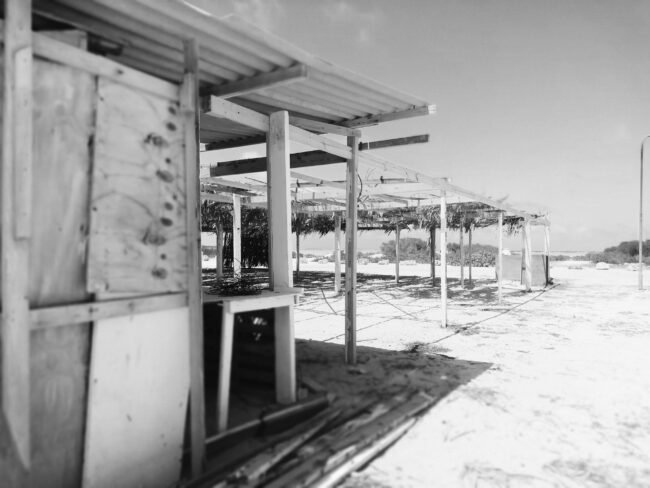 Oplus_131072 Loslaten