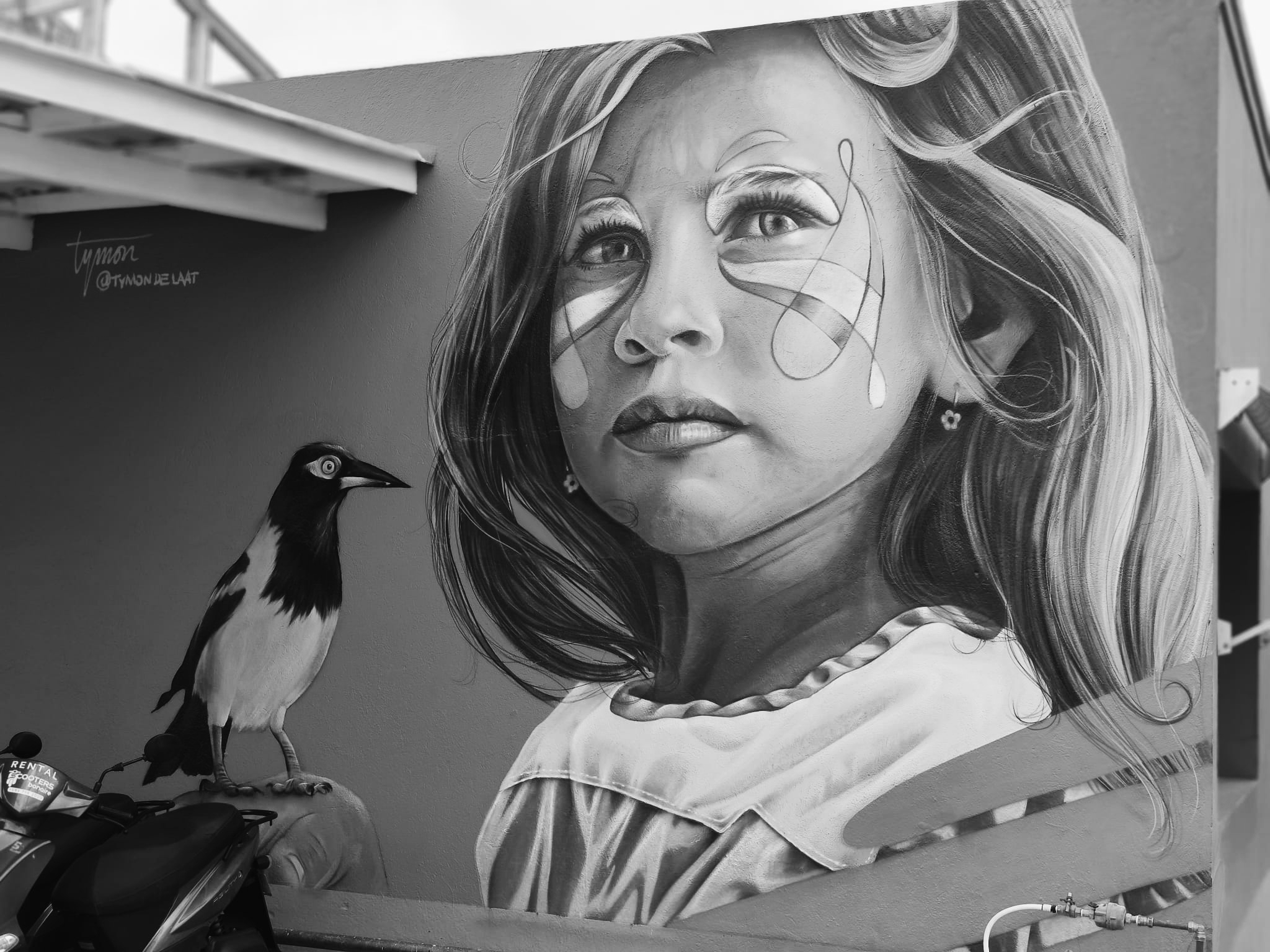 Oplus_131072 de oneindige zoektocht naar erkenning