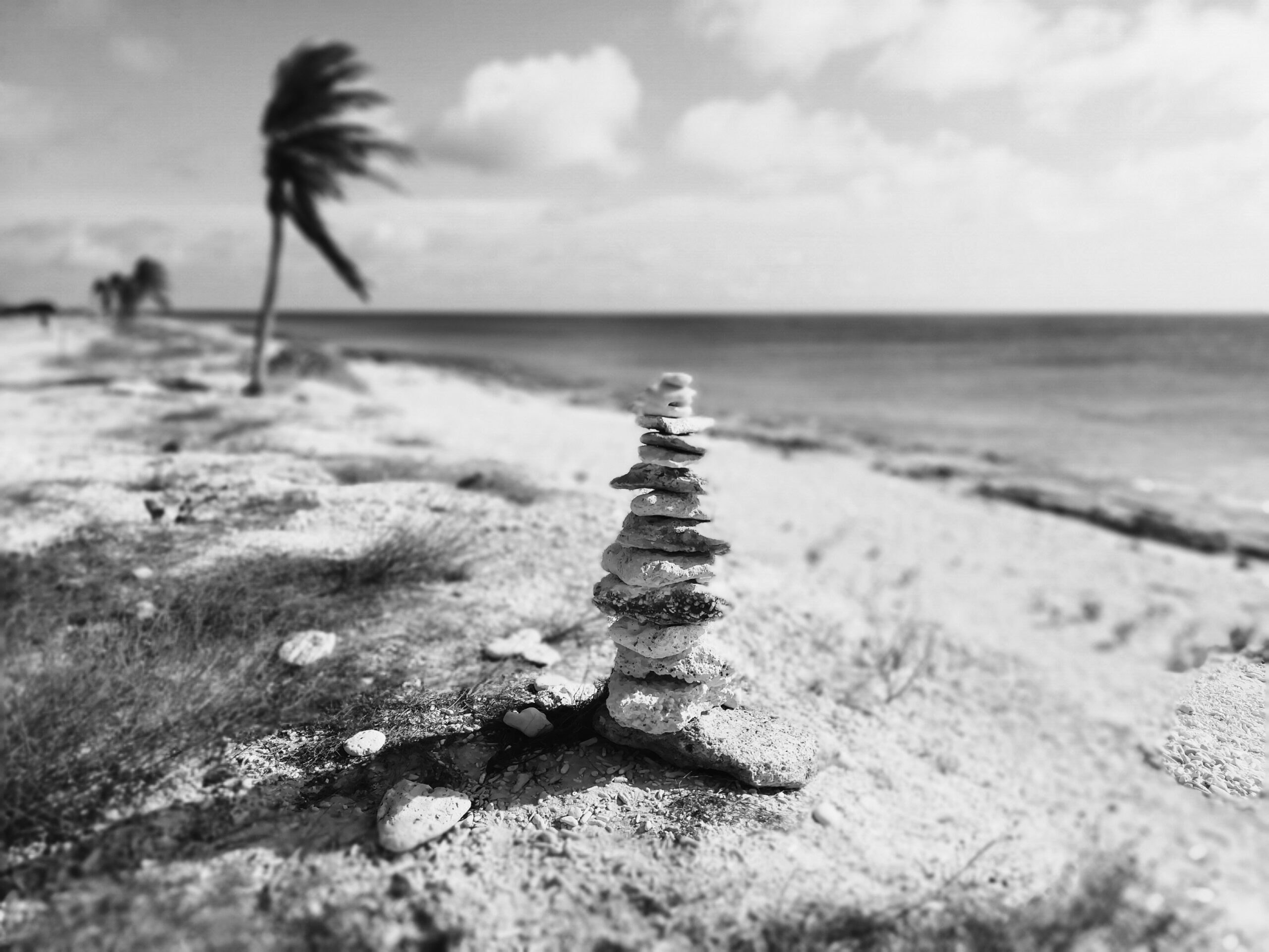 Oplus_131072 de reddende engel