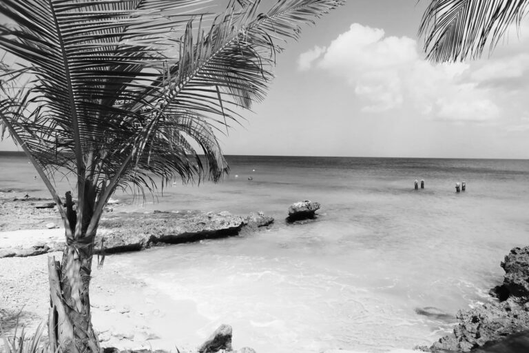 hoe 4 vragen jouw leven kunnen veranderen