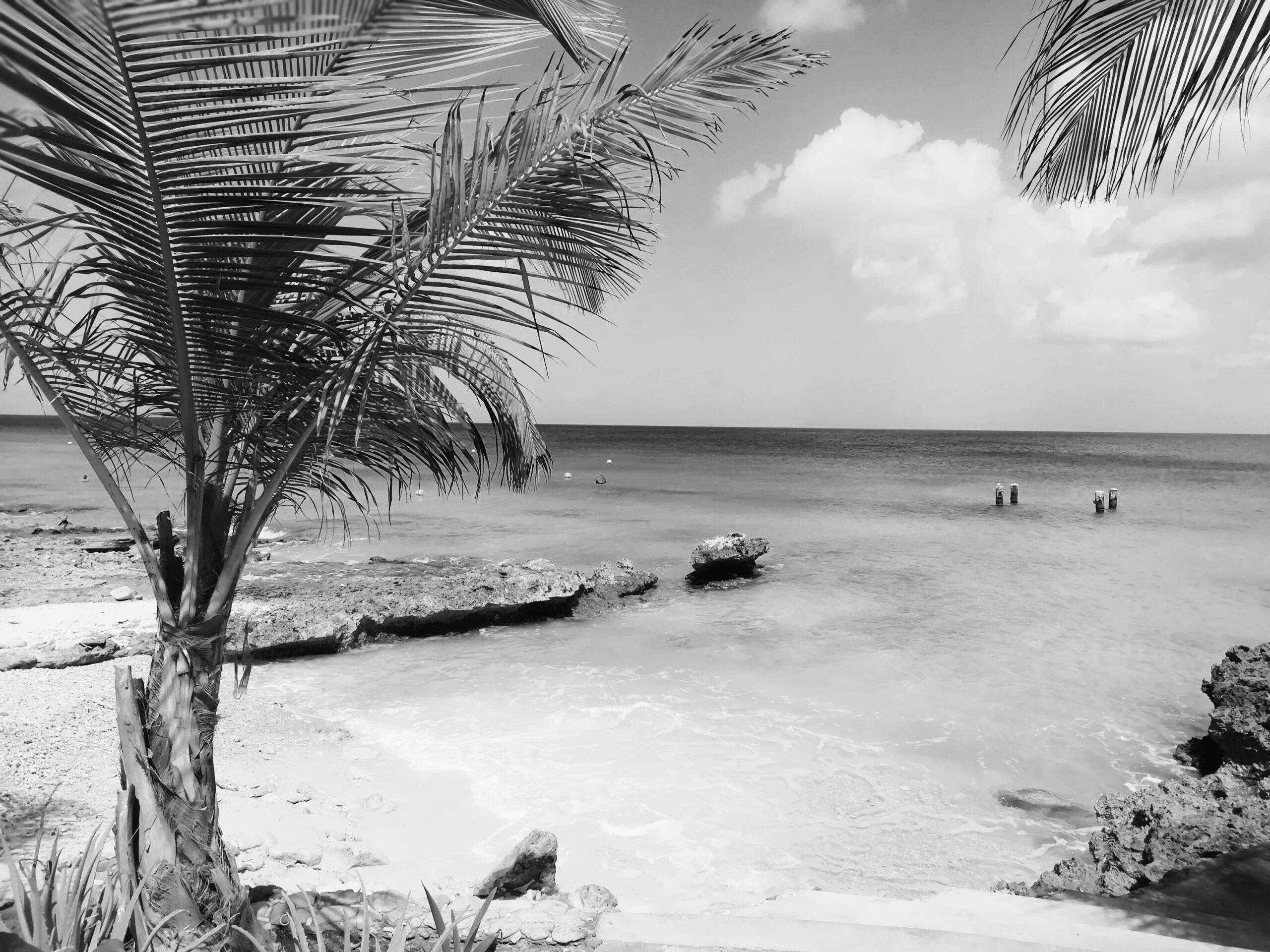 hoe 4 vragen jouw leven kunnen veranderen