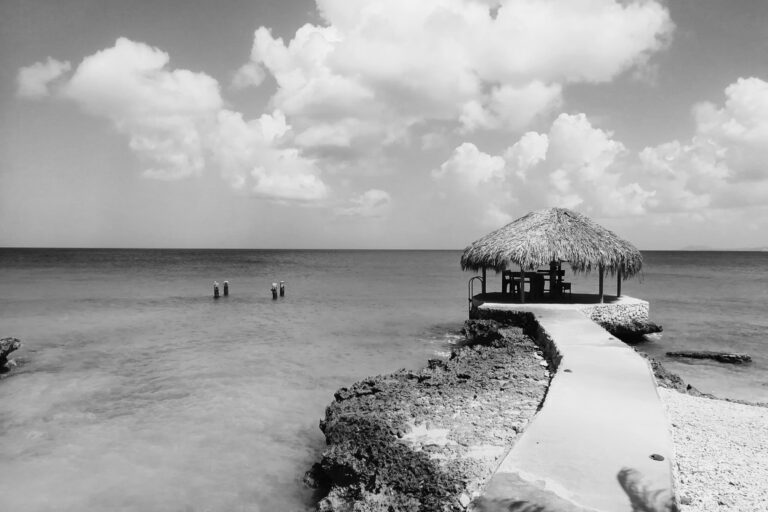 Gelijkwaardigheid en leiderschap