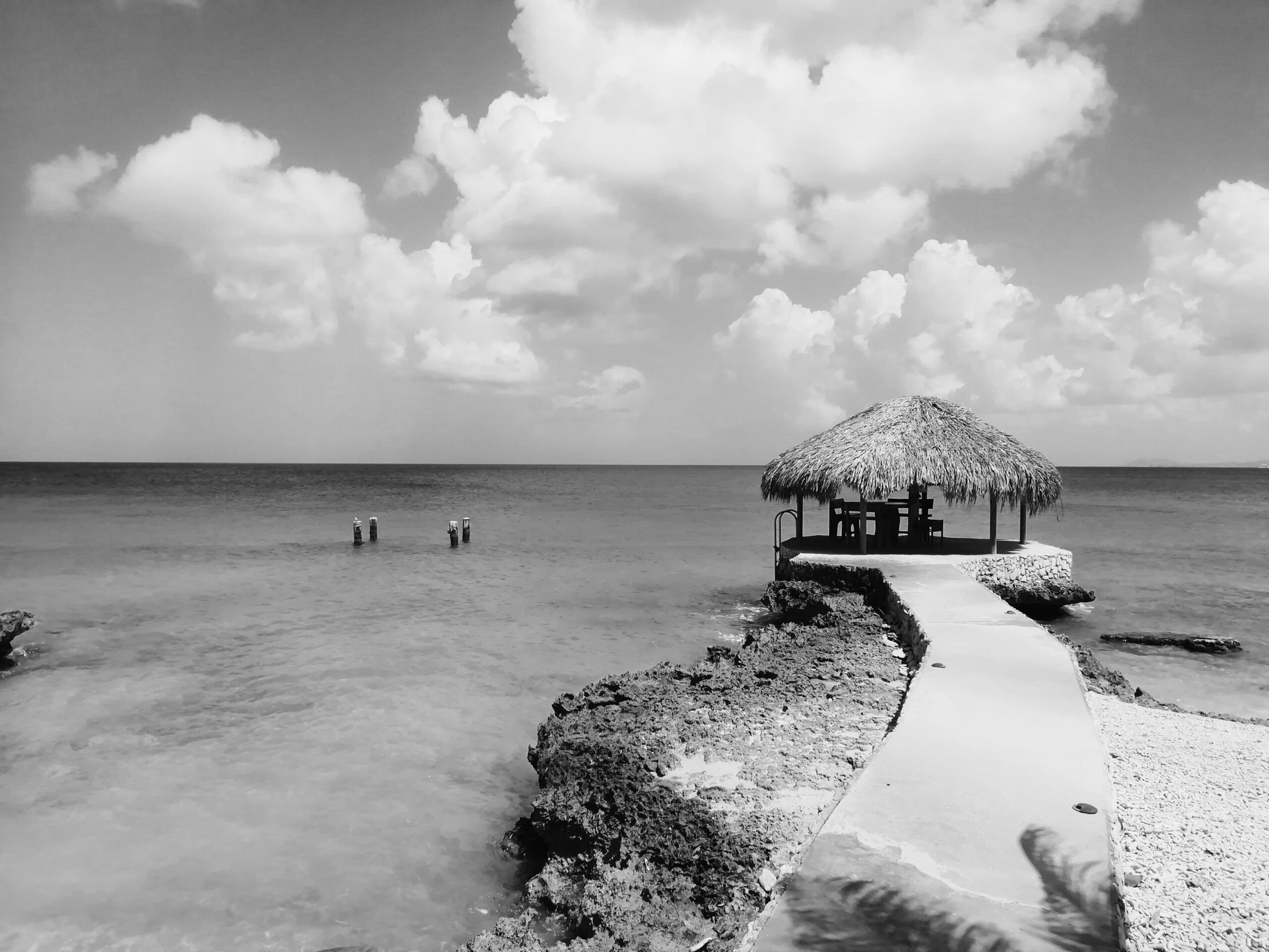 Gelijkwaardigheid en leiderschap